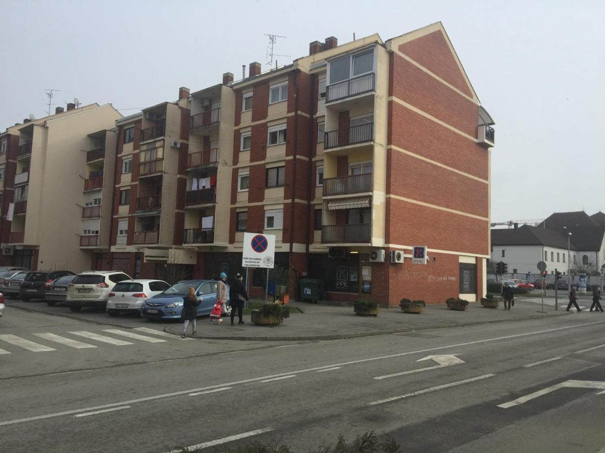 Studio Apatrman Pijalovic Bjelovar Buitenkant foto